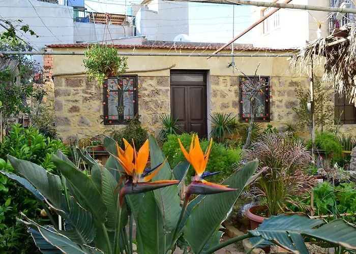 Mystery Garden Guest House