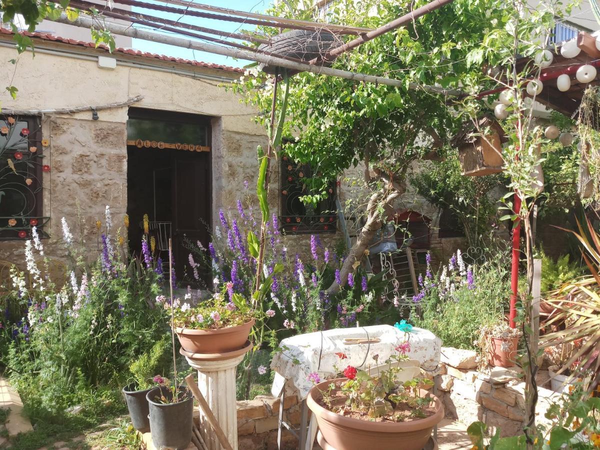 Oda ve Kahvaltı Mystery Garden