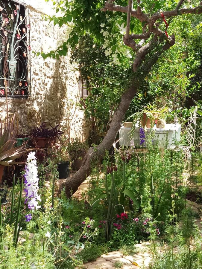 Oda ve Kahvaltı Mystery Garden