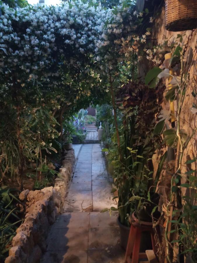 Mystery Garden * Gazimağusa