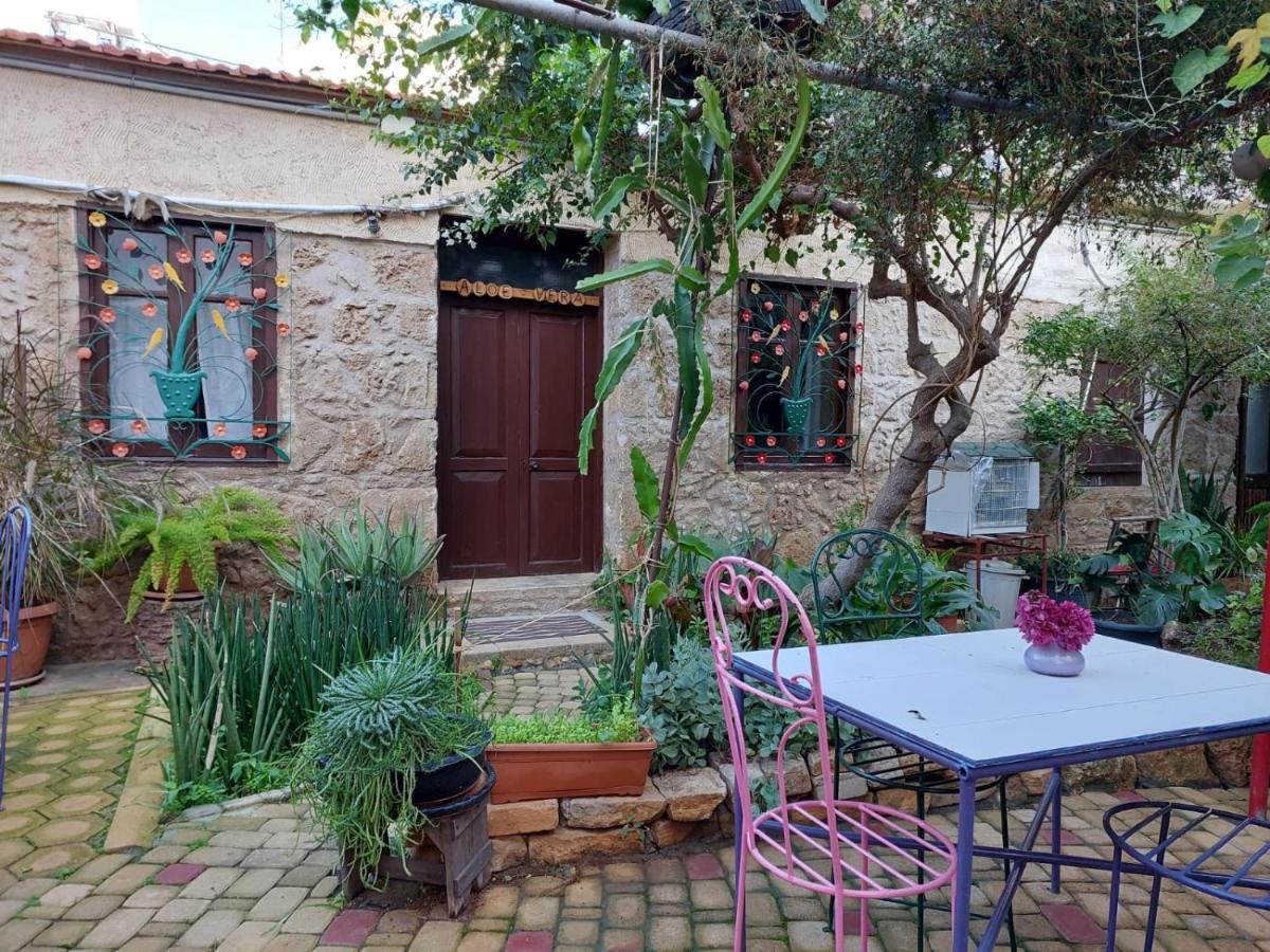 Oda ve Kahvaltı Mystery Garden Gazimağusa