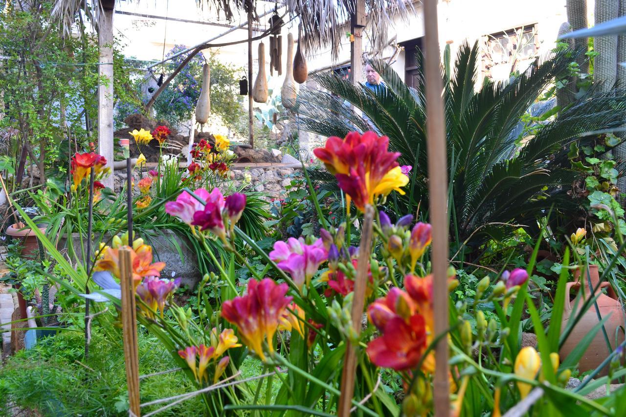 Mystery Garden Gazimağusa