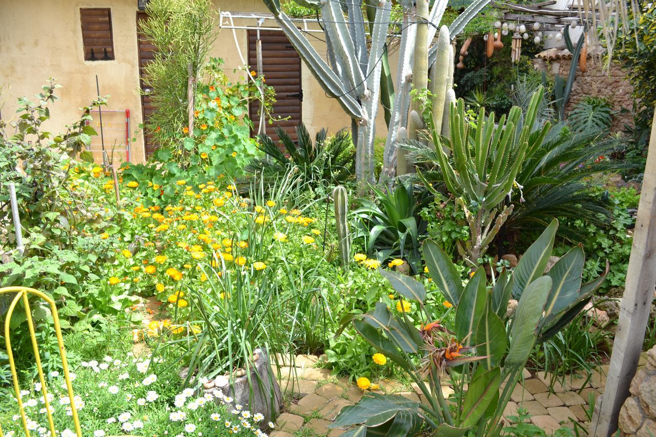 Oda ve Kahvaltı Mystery Garden
