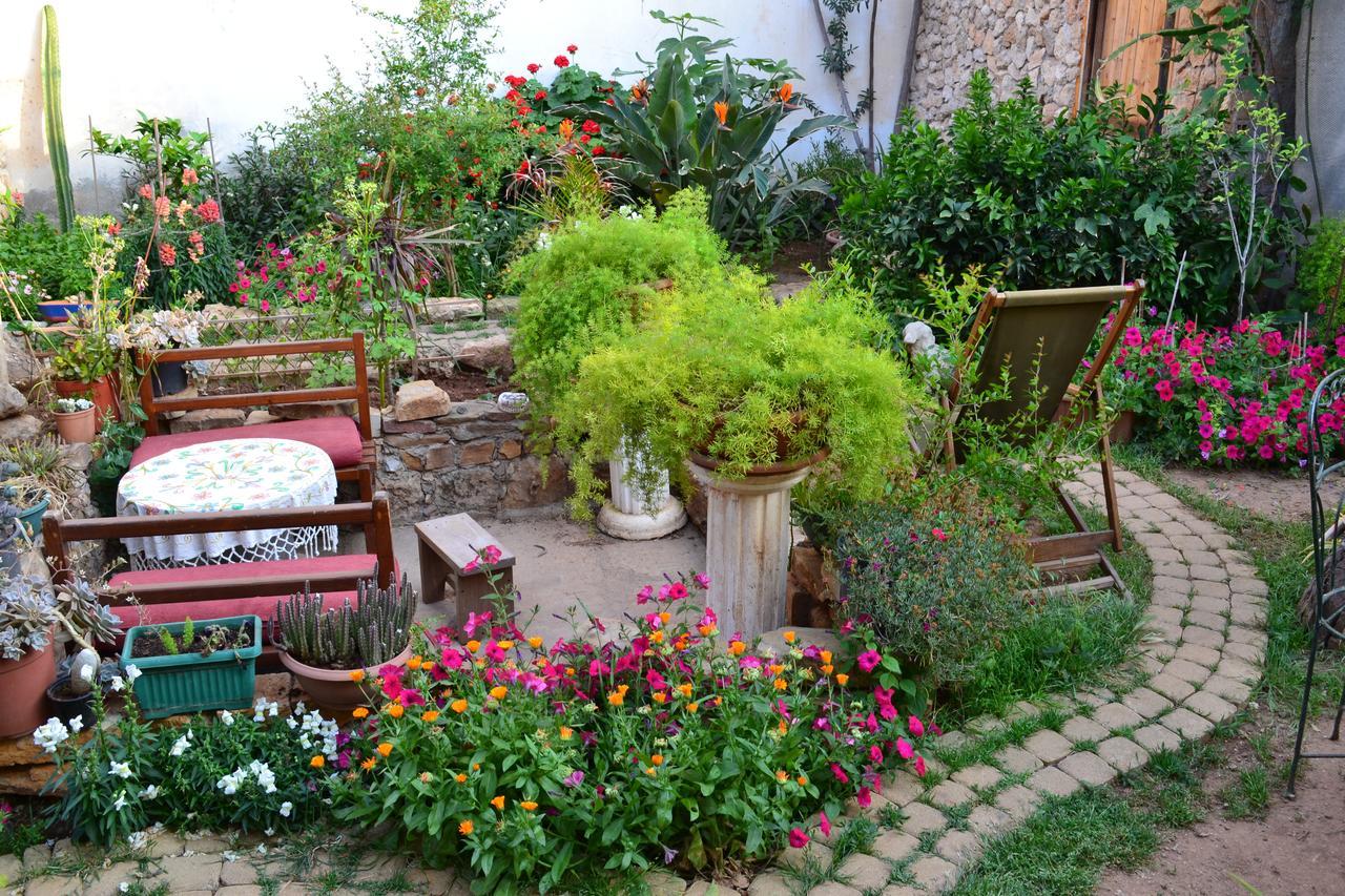 Oda ve Kahvaltı Mystery Garden