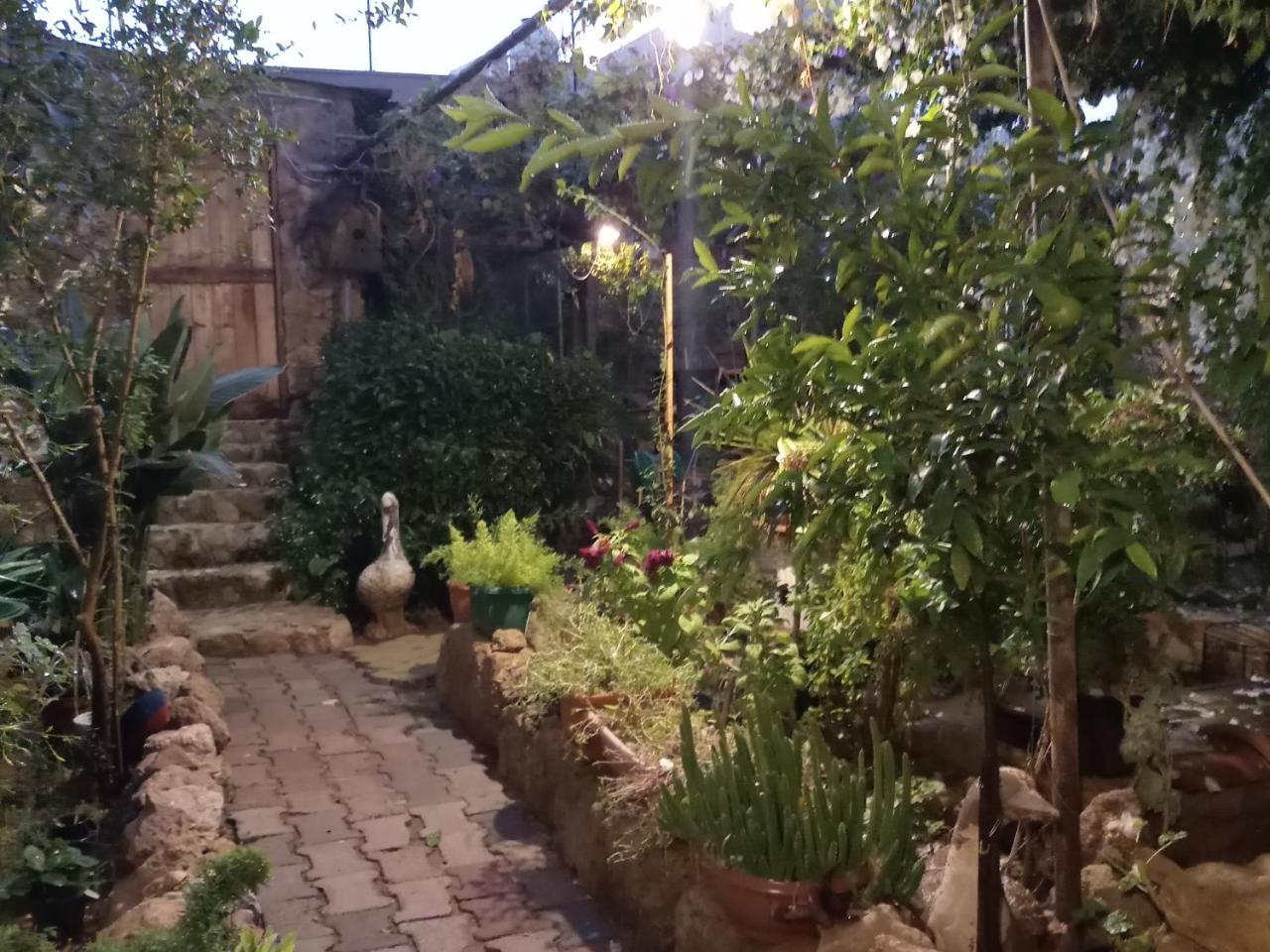 Mystery Garden Gazimağusa