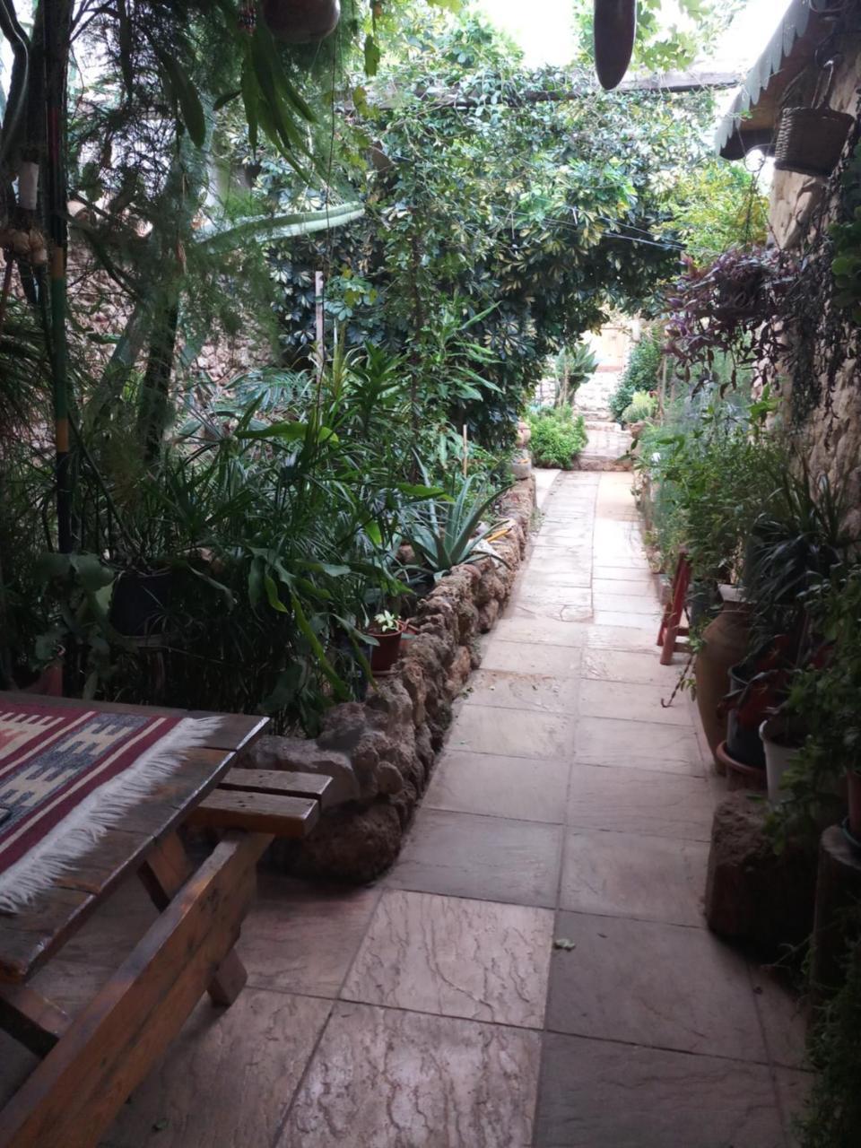 Mystery Garden * Gazimağusa