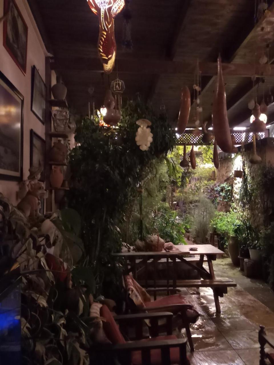 Mystery Garden * Gazimağusa