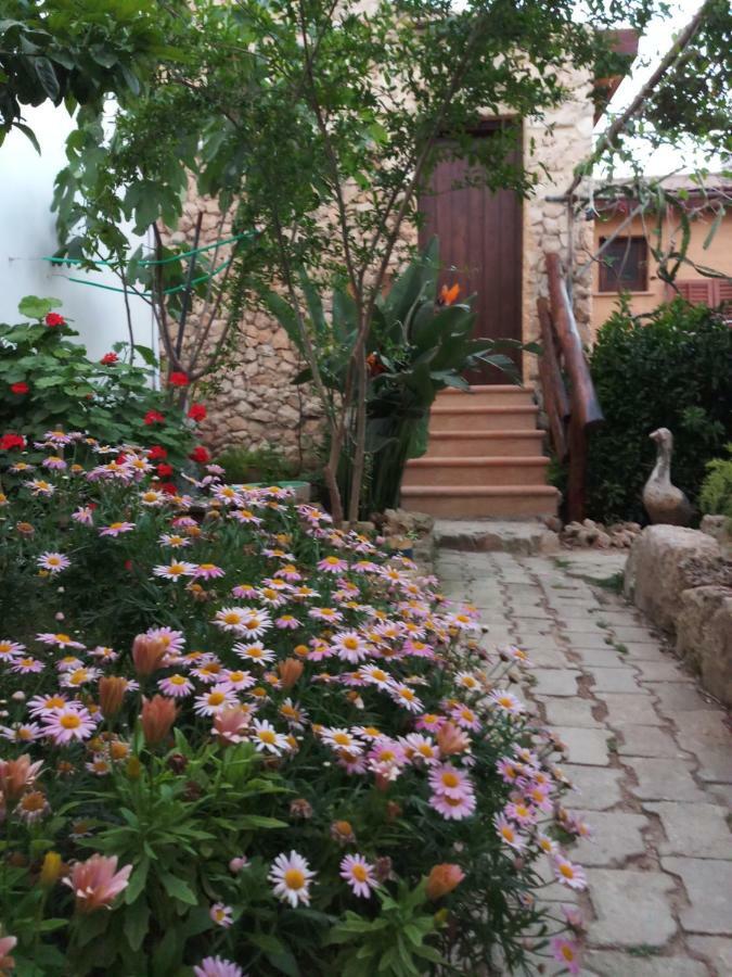 Mystery Garden Oda ve Kahvaltı *